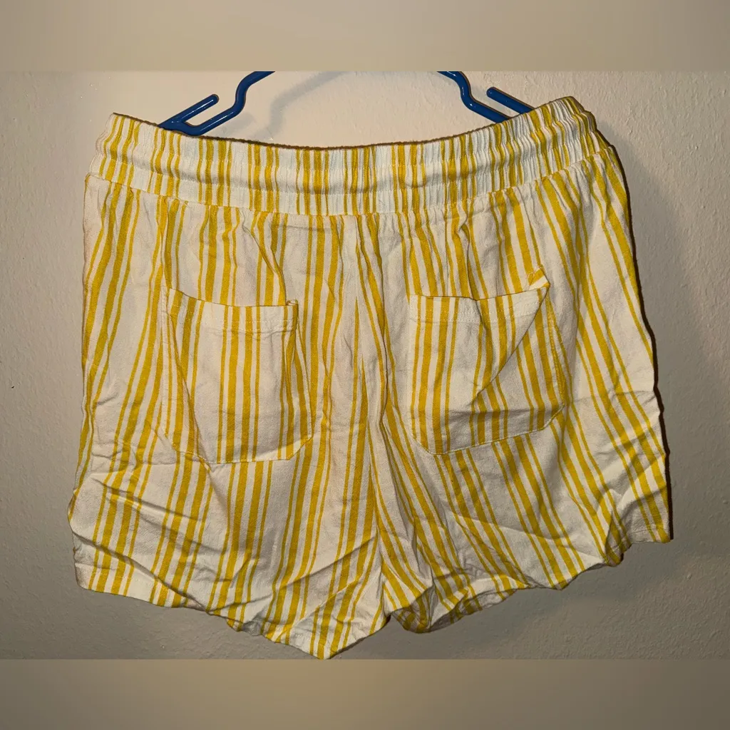 Torrid Striped Shorts - Image 3