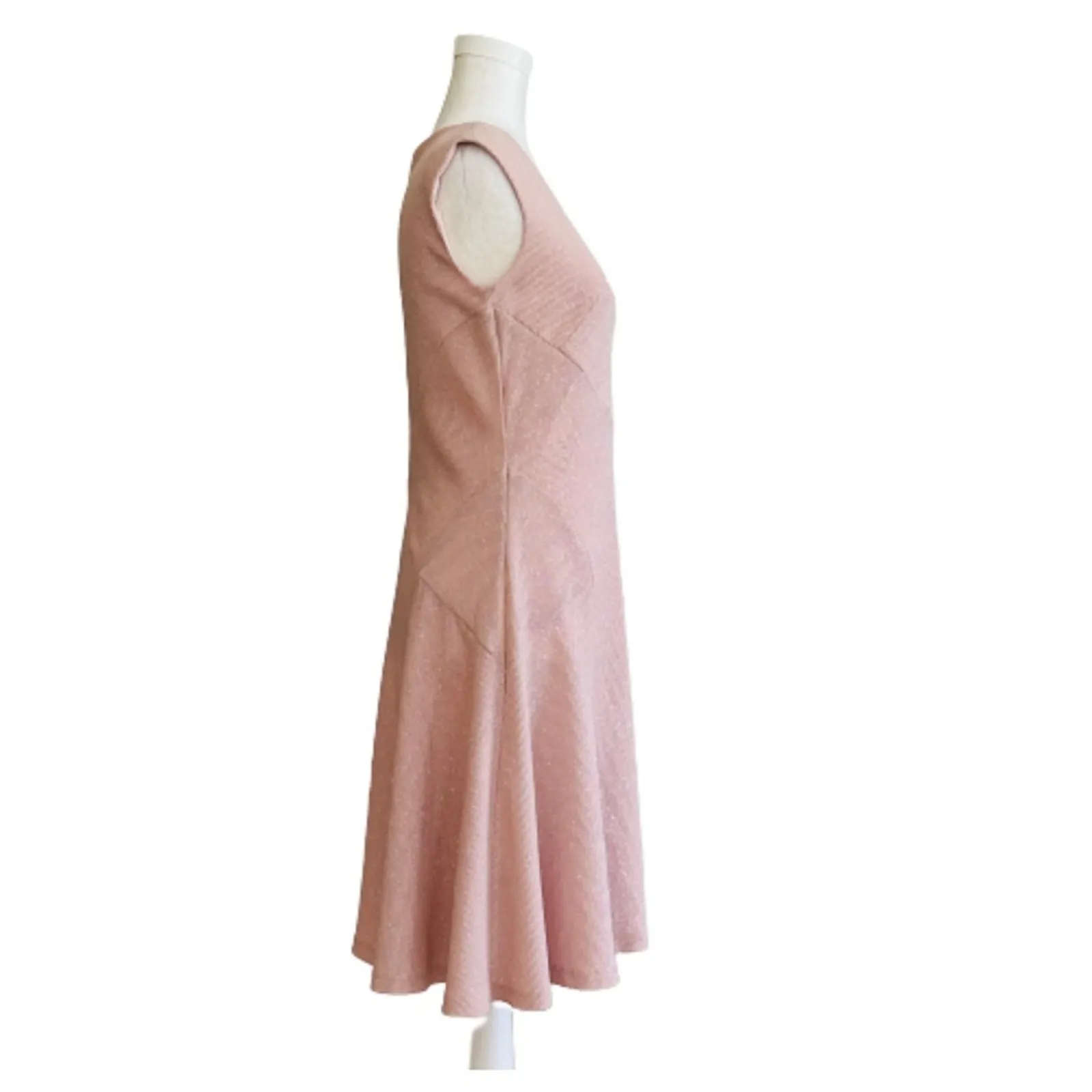 Roz & Ali Dress Blush Shimmer V-Neck Sleeveless Fit Flare Dressy Size 4 NEW - Image 4