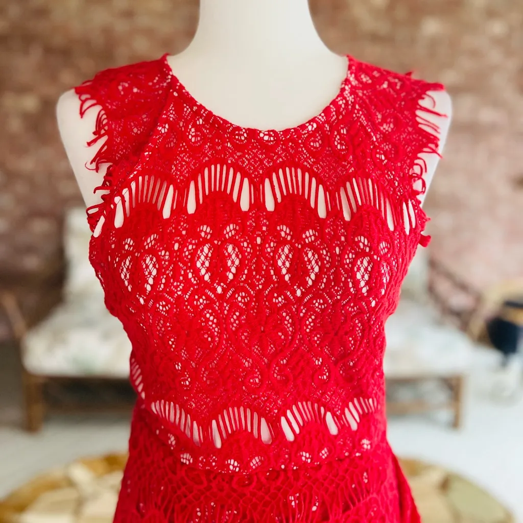 Tea & Cup Dress Bodycon Mini Lace Ruched Red M (jrs) Party Wedding Prom Holiday - Image 4