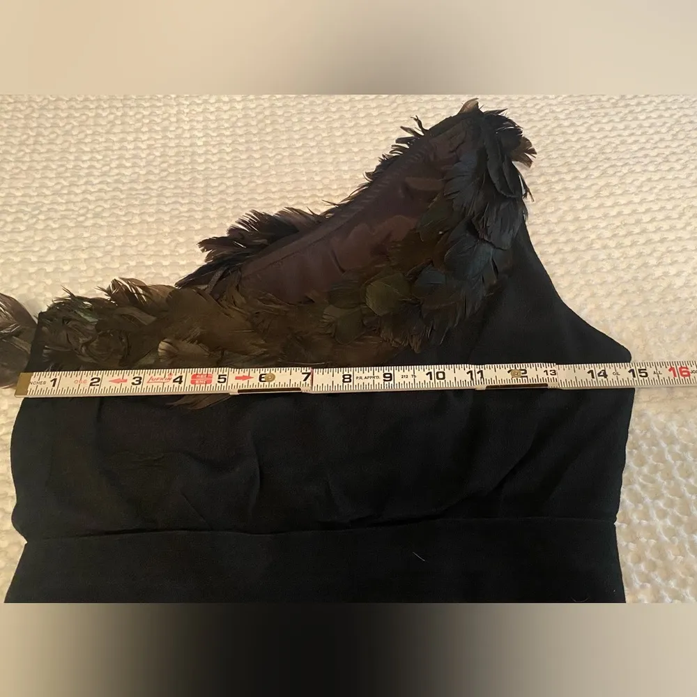 Dress Womens 0 Black Feather Trim One Shoulder Helena
Draped Mini - Image 11