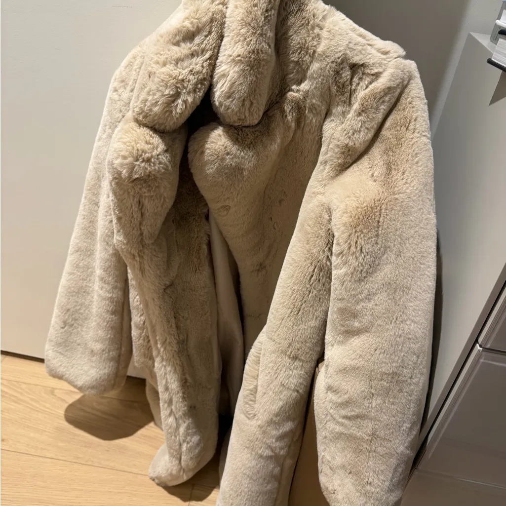 APARRIS fur long coat worn 1/2x - Image 5