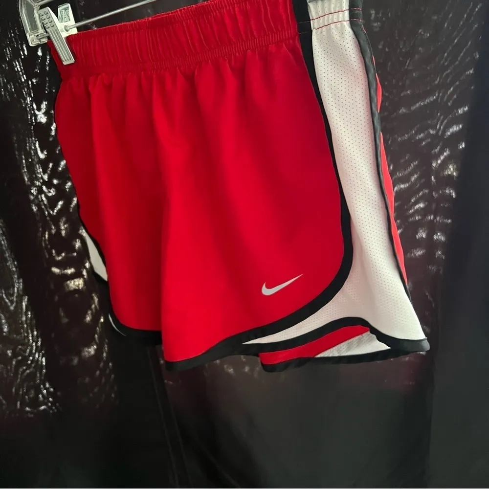 Nike  Dri-Fit Shorts - Image 4