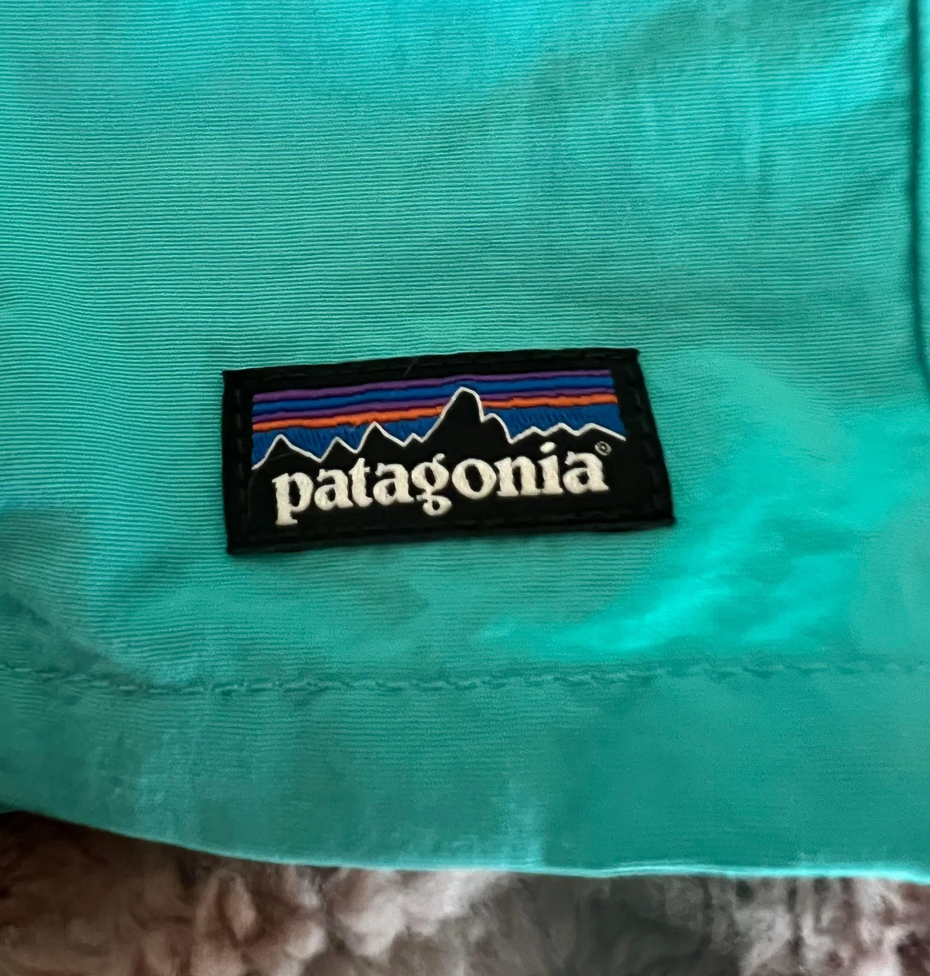 Patagonia Teal Shorts - Image 4