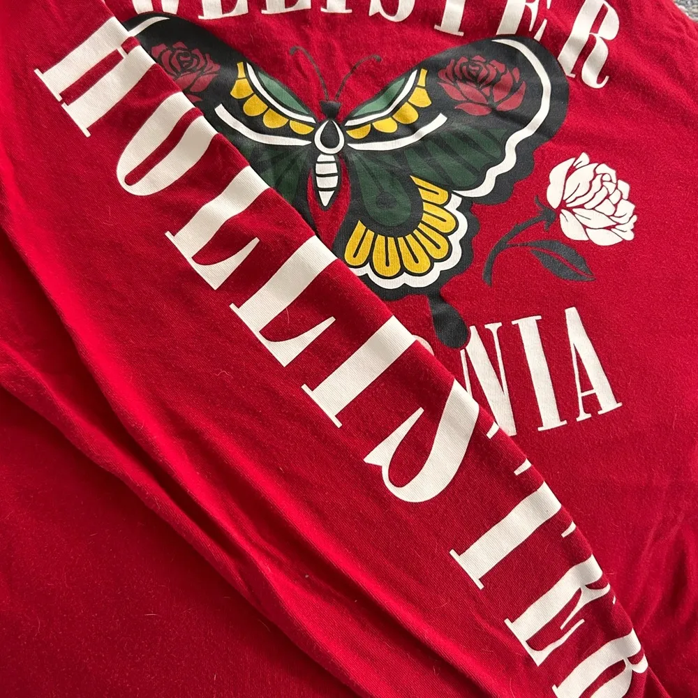 Crop Hollister M - Image 7