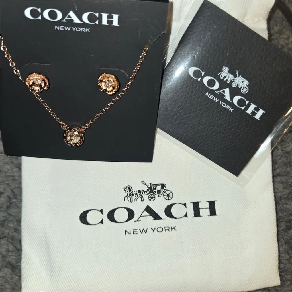 Coach Rose Gold Necklace and Earring Set - Image 4