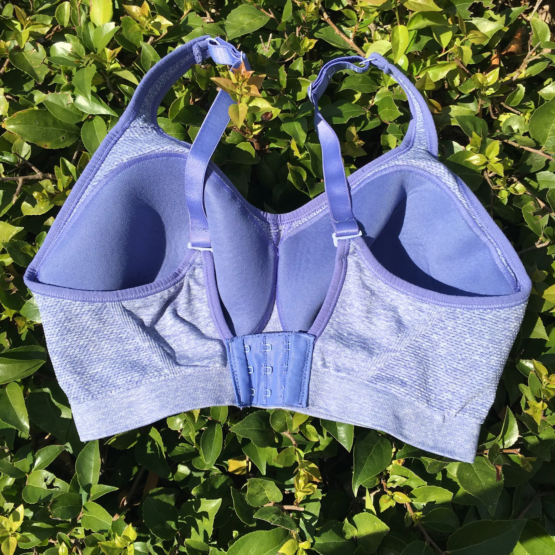 Sports Bra - Image 4