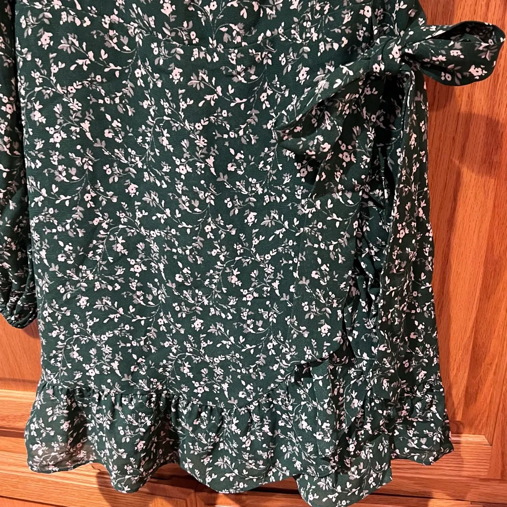 Reformation Camii Long Sleeve Chiffon Minidress in Green Floral Parsley Size‎ 0 - Image 9