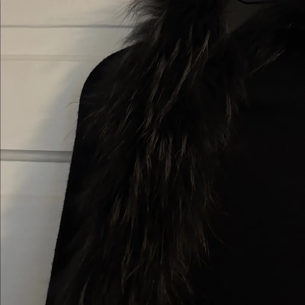 Natures Collection Raccoon Fur Black Wrap Size undefined - Image 3