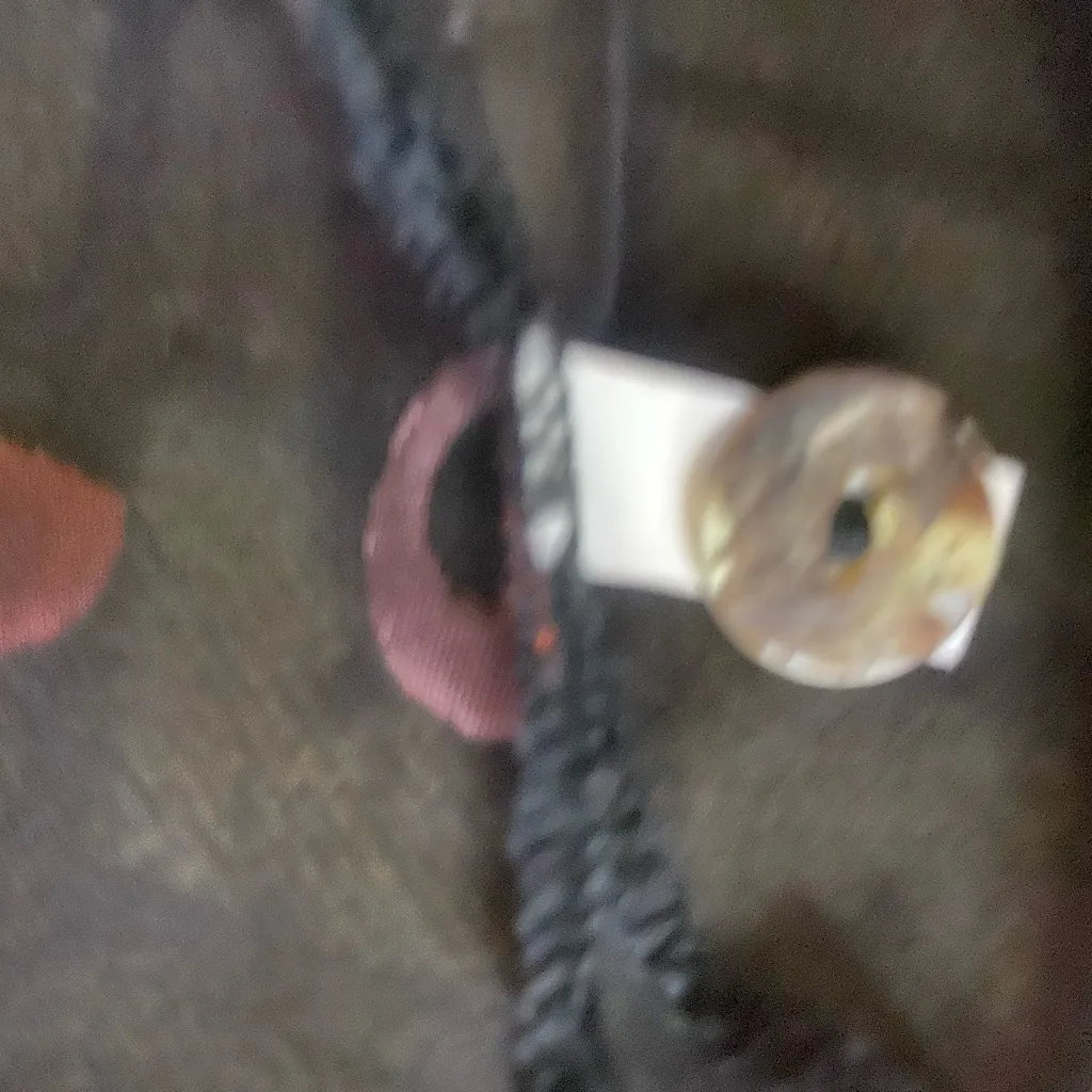 Y2K CITRON Santa Monica Floral Geisha
Velvet Burnout Blouse S Red - Image 13