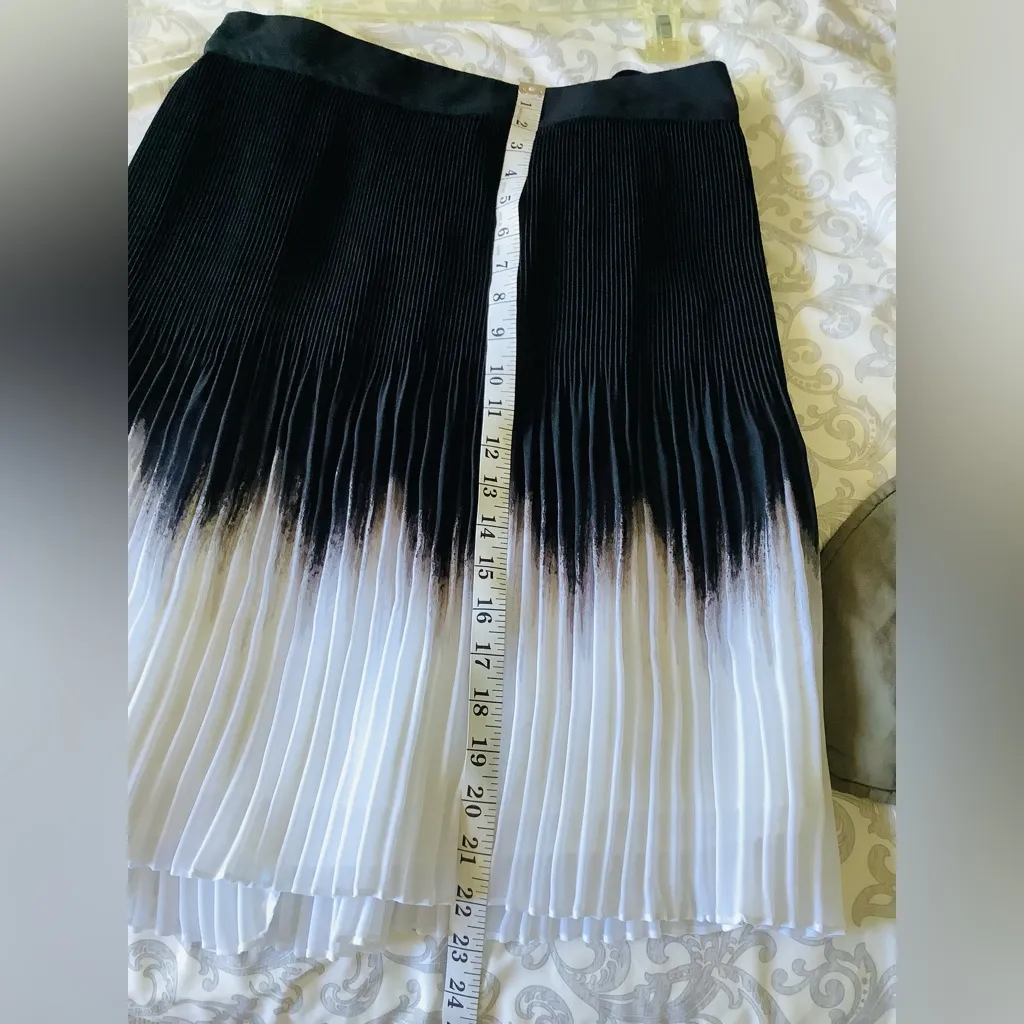 NICE DRESSY PLEATED SKIRT 🖤NWT 🤍 - Image 5