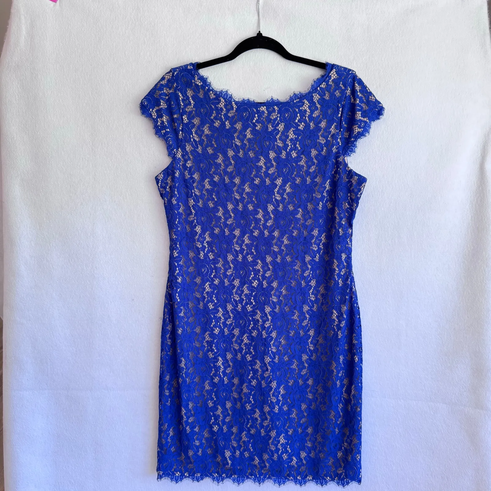 Eliza J Royal Blue Lace Cocktail Dress Size 12 Cap Sleeve Scalloped Hem Lined - Image 8