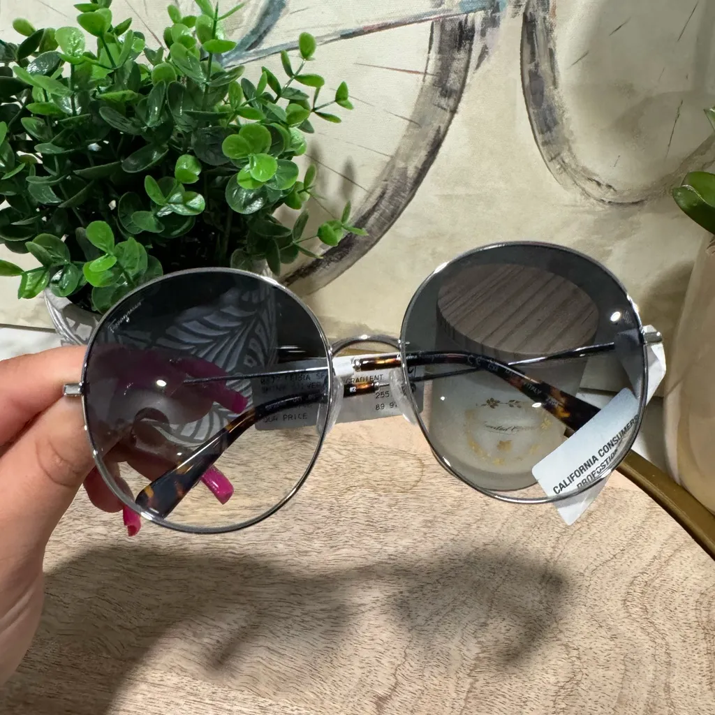 ONE DAY SALE💫
SALVATORE FERRAGAMO silver/blue round sunglasses 🦋 - Image 14