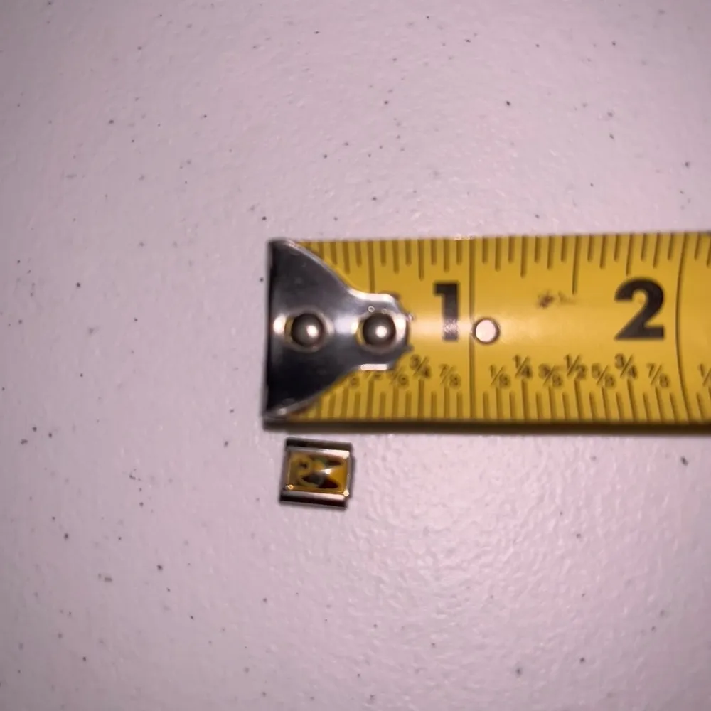 Boston Terrier Stainless Steel Italian Charm - Image 3