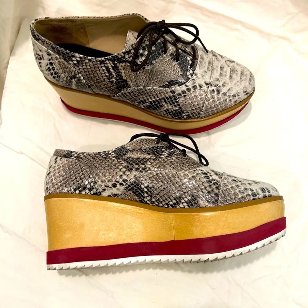 Schutz  platform shows - Image 42