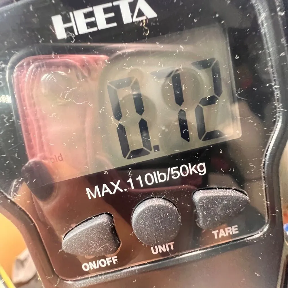 Belongsci Dress Womens L Ivory Chiffon Mini Shift V Neck Bell Sleeve Classic NEW Size L - Image 15