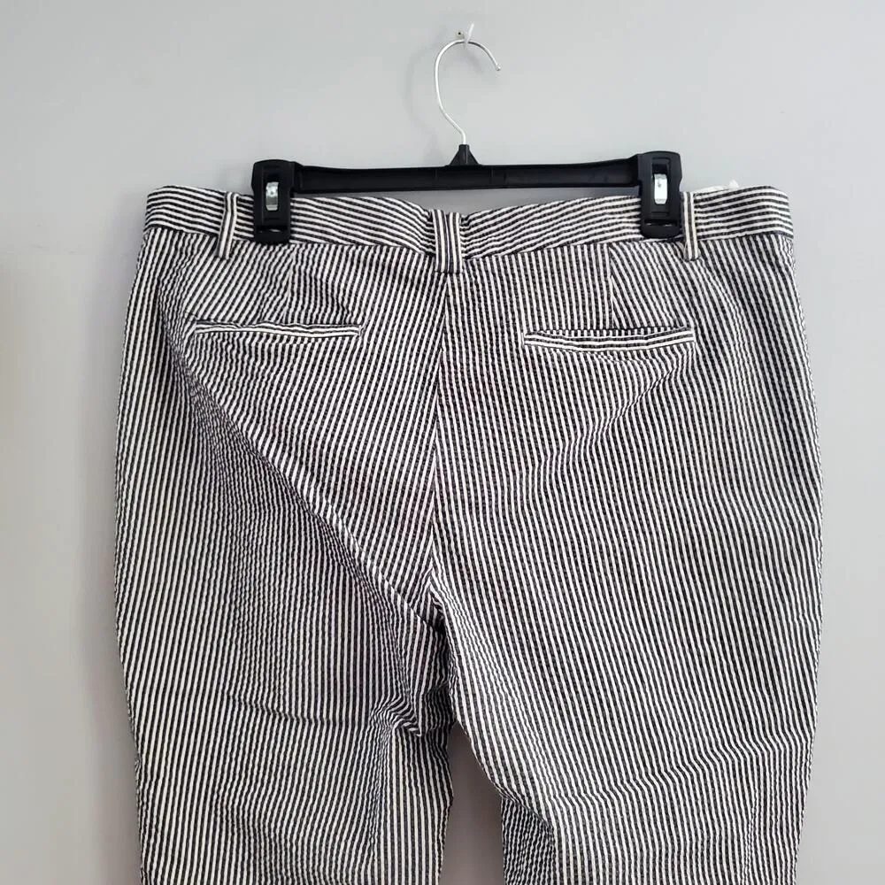 Ann Taylor Striped Seersucker Ankle Pants Size 14 - Image 4