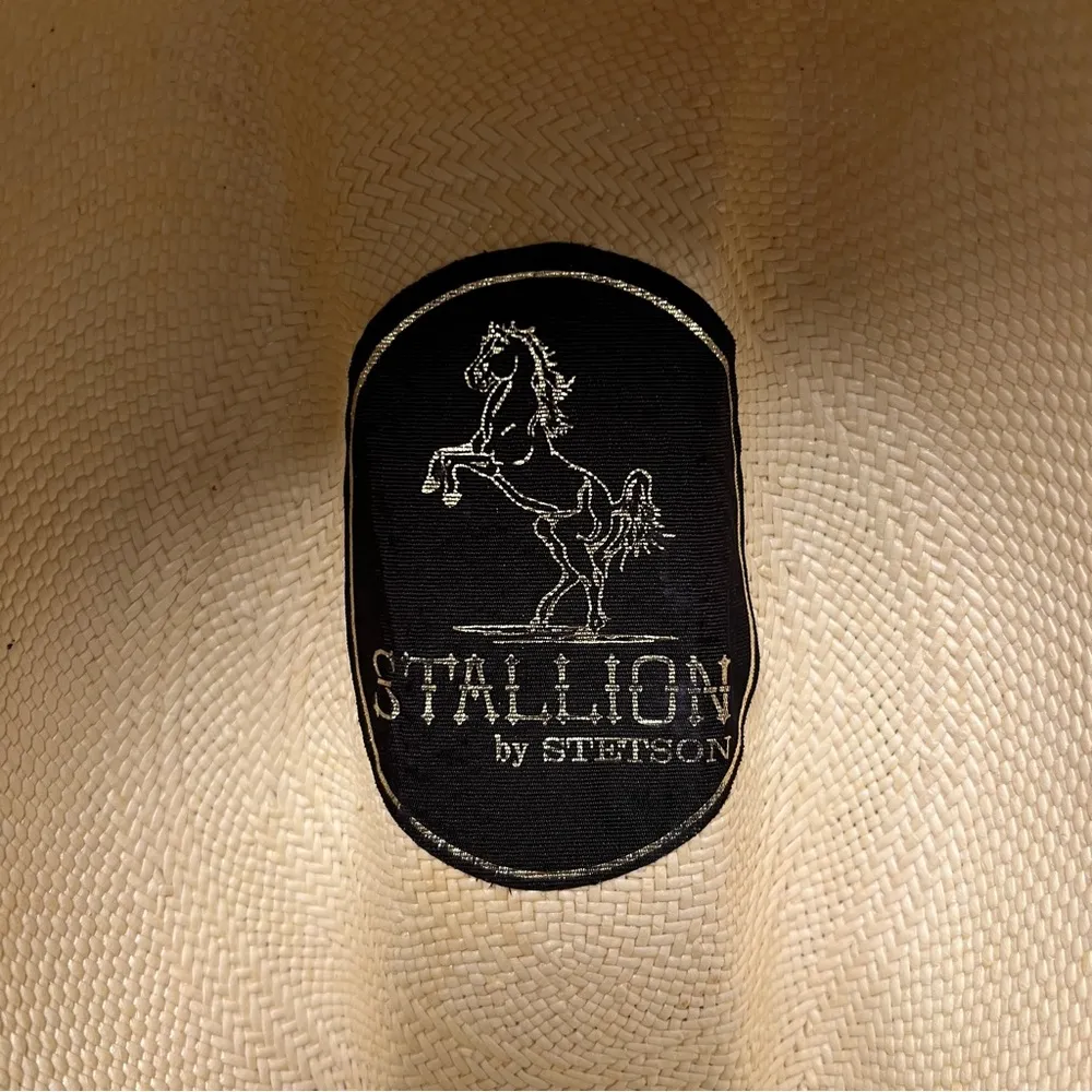 Stallion by STETSON straw cowboy hat, tan, hard shell - Image 4