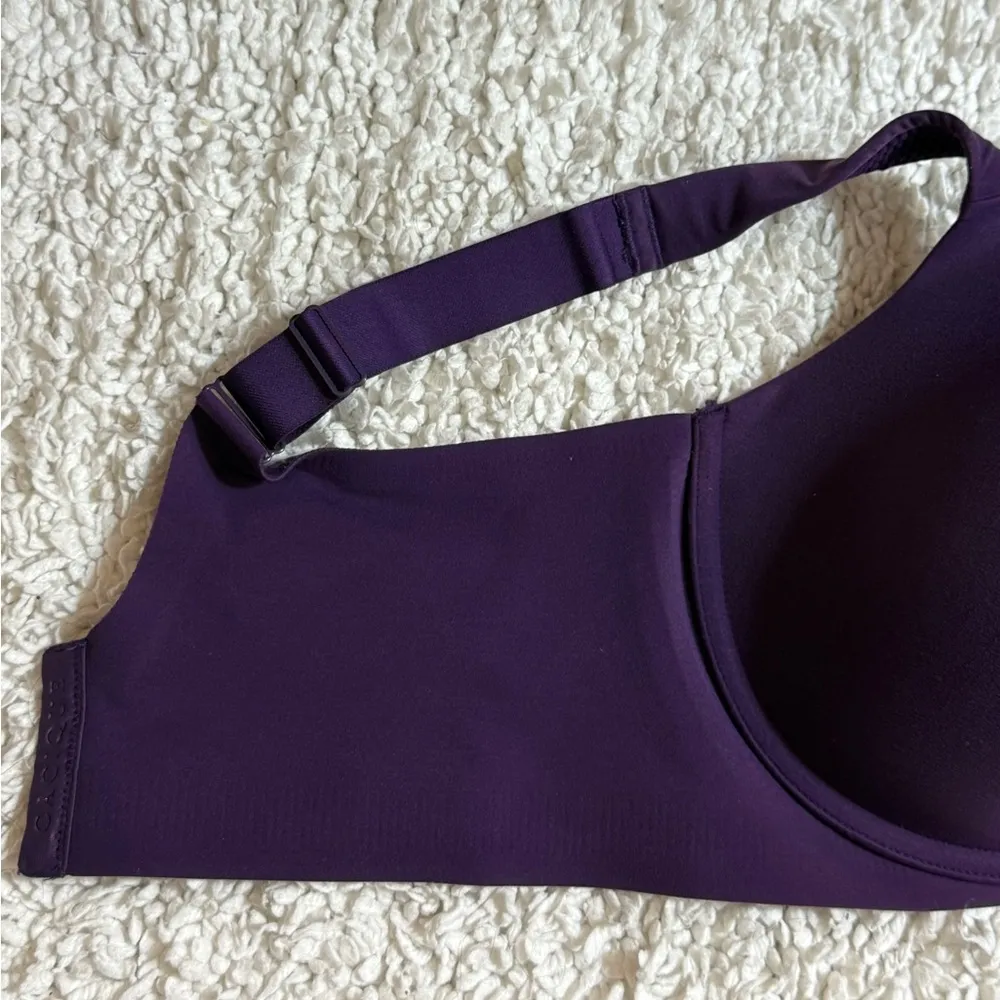 Cacique Purple Bra - Image 2