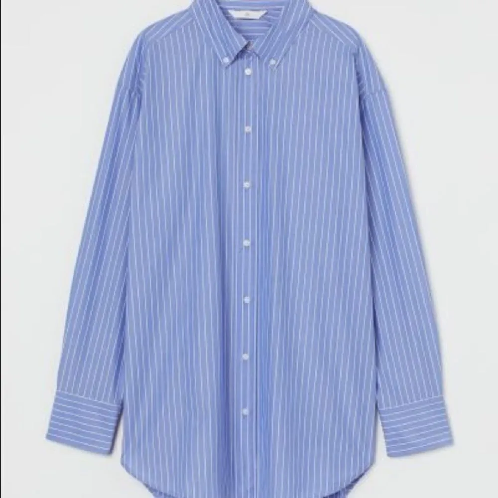 H&M ✨HP✨ Longsleeve Button-down Cotton Shirt✨ - Image 3