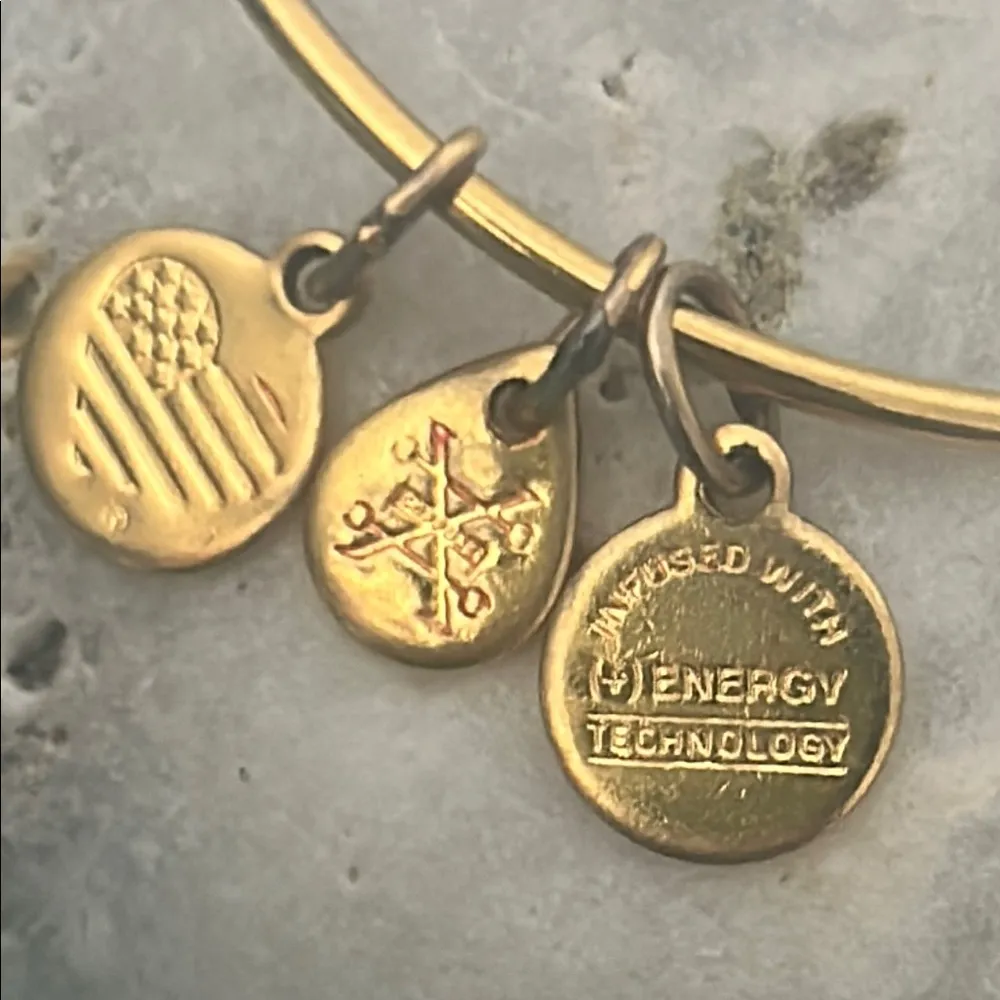 Alex and Ani September Birthstone Sapphire Crystal Charm Bangle Bracelet - Image 3