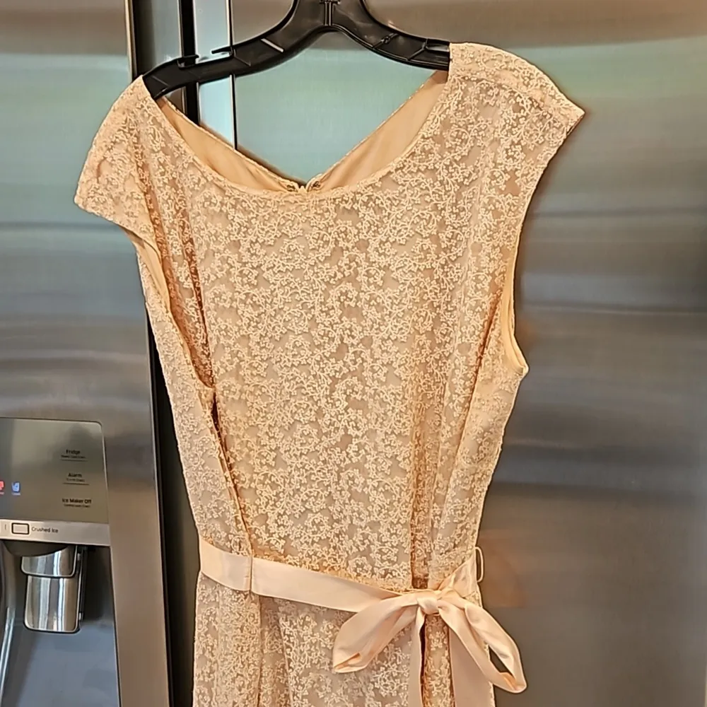 💕TAHARI by ASL💕 Glitter Lace Trim Metallic Ribbon Belted Dress Light Pink 18W - Image 9