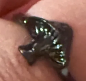 Mushroom Ring Black - Image 2