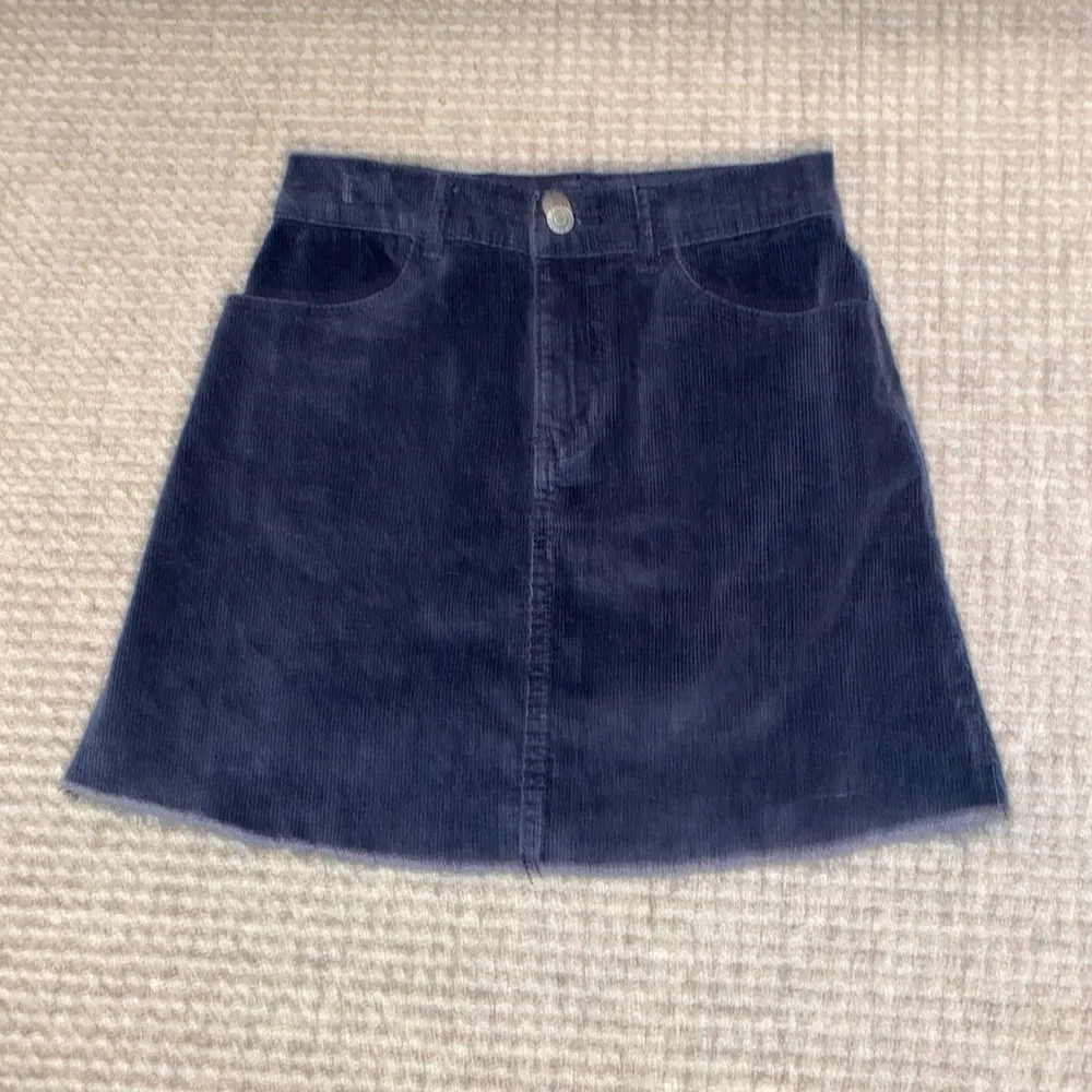 Brandy Melville/John Galt Corduroy Skirt (small) - Image 4