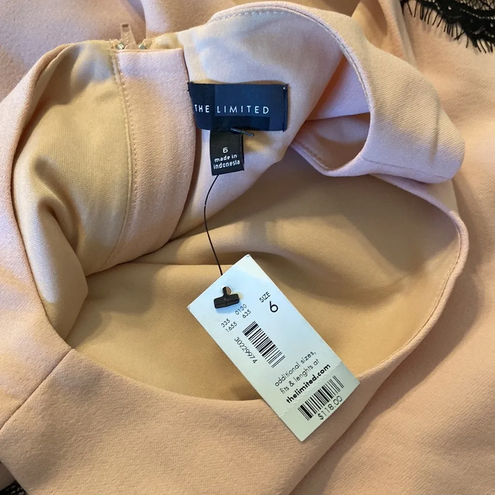 The Limited Women’s Dress size beautiful and new with tag size 6 - Image 9