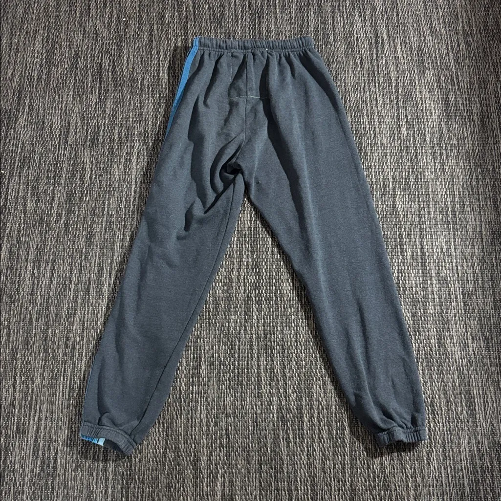 Aviator nation 5 stripe sweatpant jogger blue stripe - Image 2