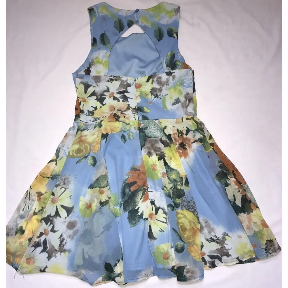 Anthropologie Sans Souci Womens Skater Dress M Sleeveless Chiffon Blue Floral - Image 4