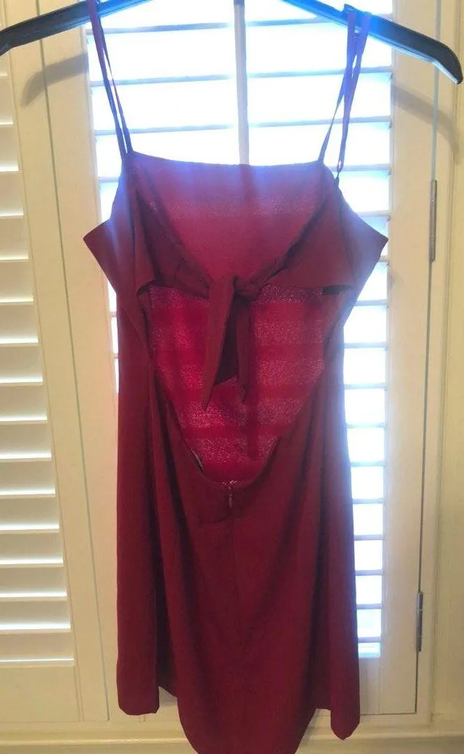 Toast To Life Dress - Image 5