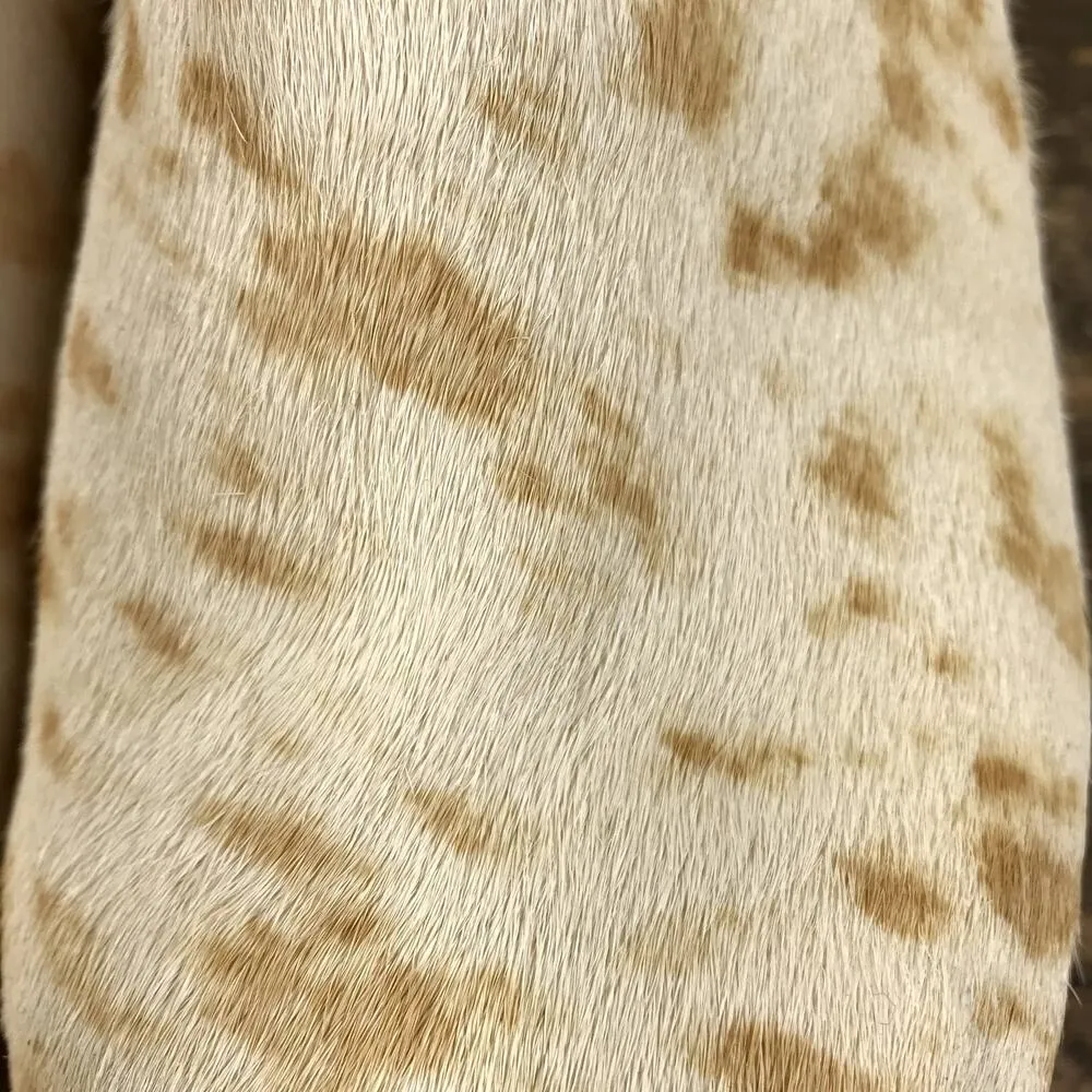 J.CREW Calf Hair Convertible Strap Leather Clogs Women 7.5 Wood Sole Studded Yellow - Image 11