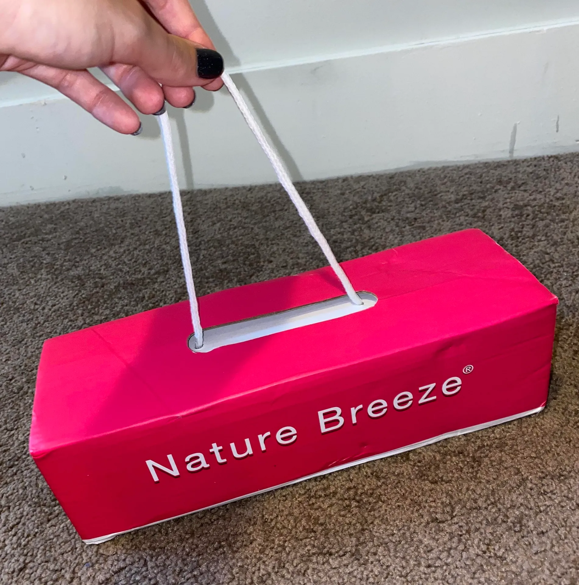 Natural breeze Sparkle Sandals - Image 4