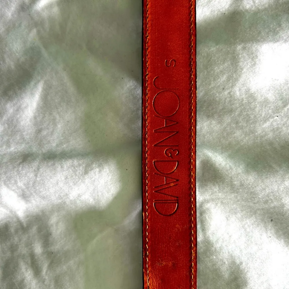 Joan and David belt - Image 4
