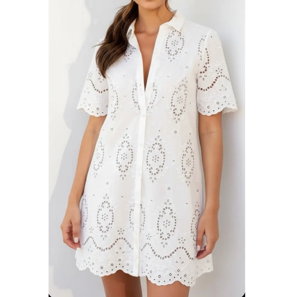 SÉZANE Elvina Embroidered Short Dress, Ecru, FR34/US2 - Image 6
