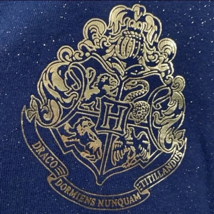 Universal studios Harry Potter wizard world Hogwarts is my home spirit jersey S Blue - Image 6