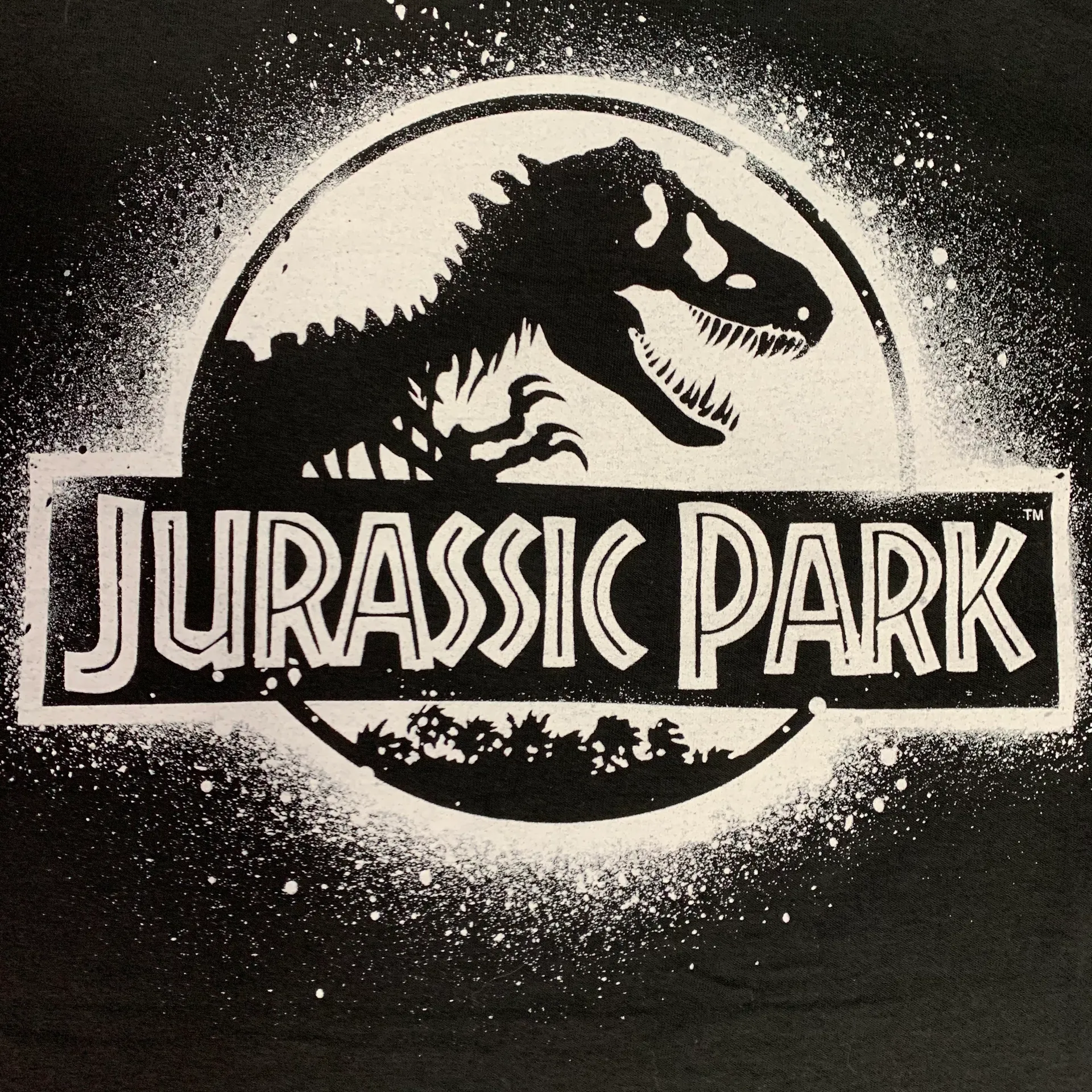 Dinosaur Black White Graphic T-shirt - Image 2
