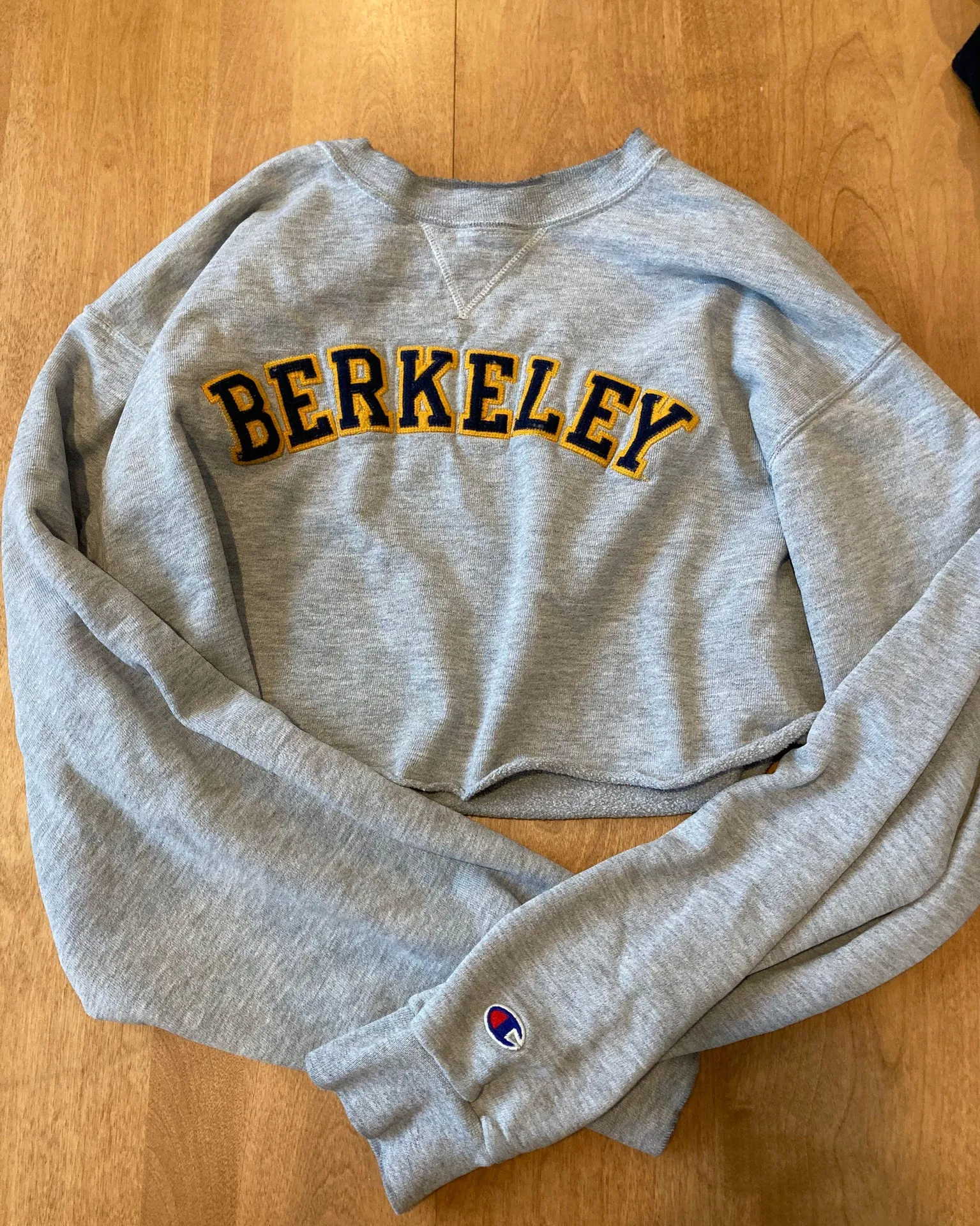 Champion sweatshirt - Image 3