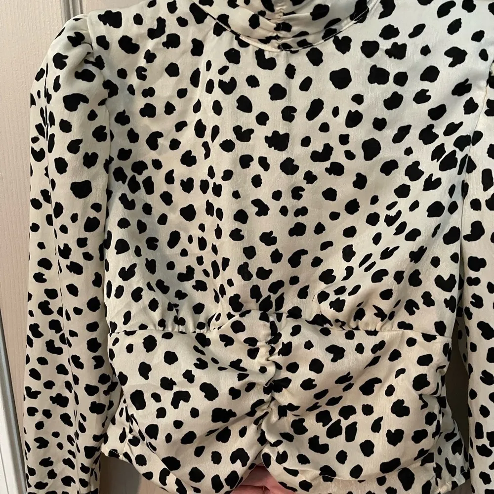 Rabbit Rose Dalmatian print cropped high neck open back blouse - Image 2