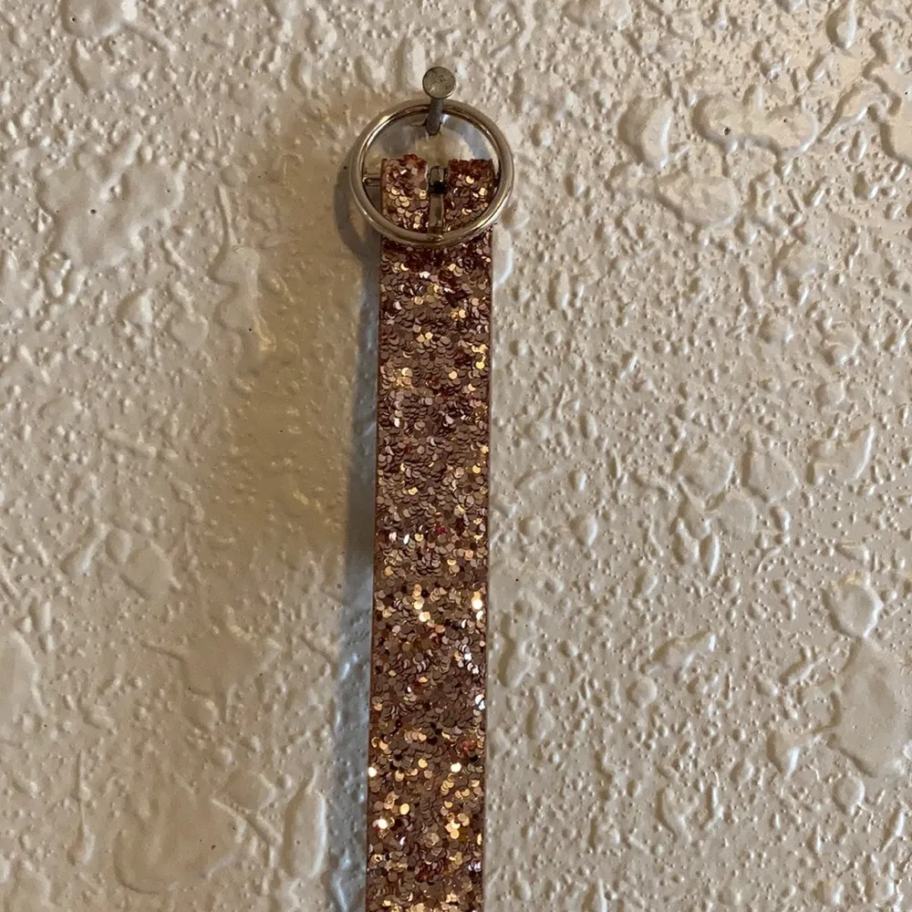 Glitter Belt - Image 5