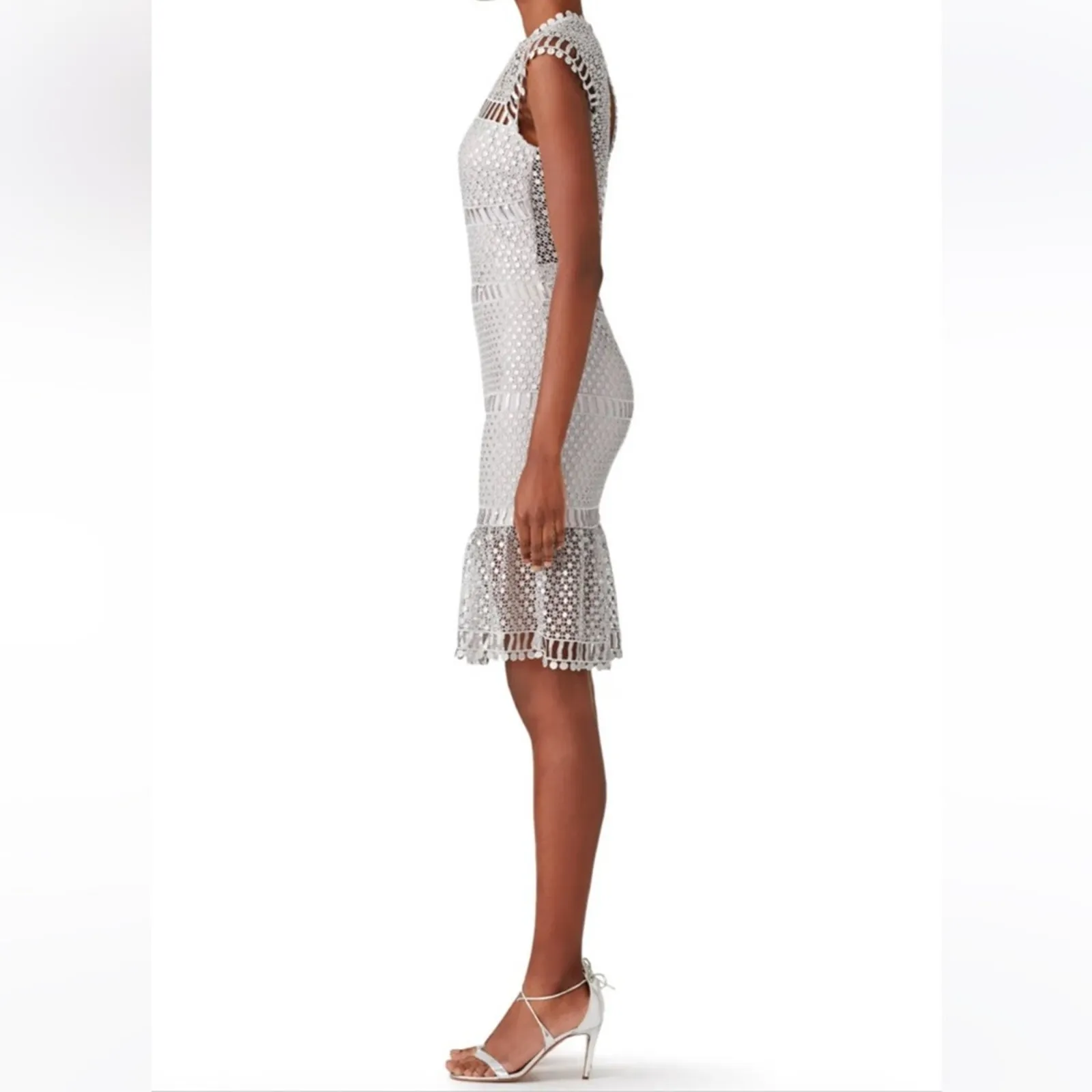 Saylor Silver Illusion Netted Sequin Sheath Dress Small Cocktail Party Fairy - Image 11