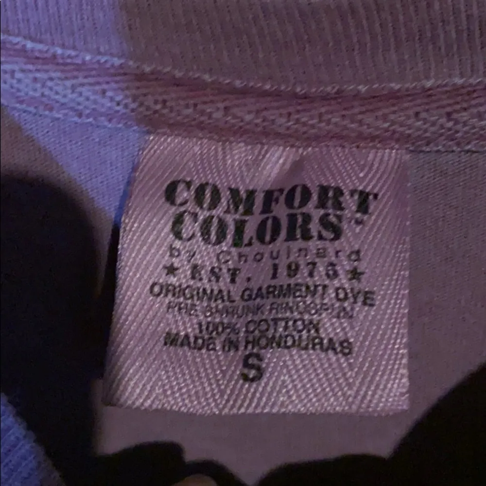 Delta Gamma comfort colors purple long sleeve - Image 3