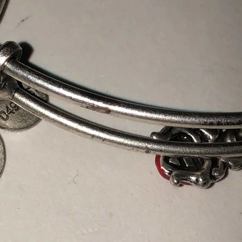 Alex and Ani Silver Tone Ladybug Charm Bracelet - Image 7