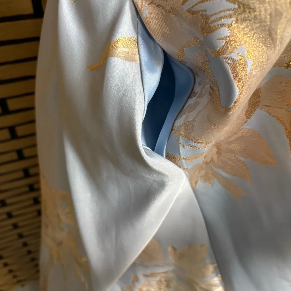 Blush Prom‎ Clarisse Deep V-neck Brocade A-line Formal Dress
Size 4 - Image 10