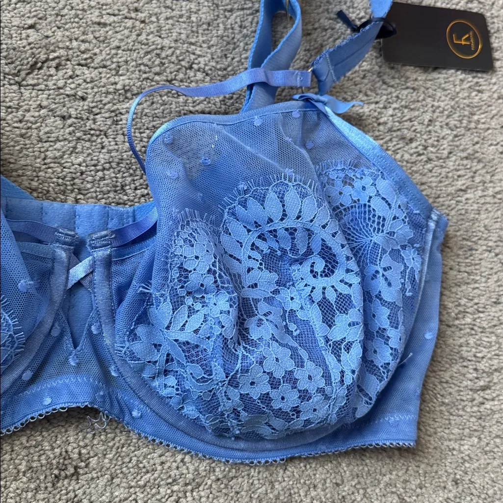 Fox & Royal Clementine Lace Bra SIZE 38H Blue - Image 2