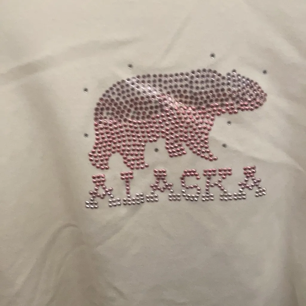 FINAL MARKDOWN Cruise wear and company Alaska tee medium - Image 2