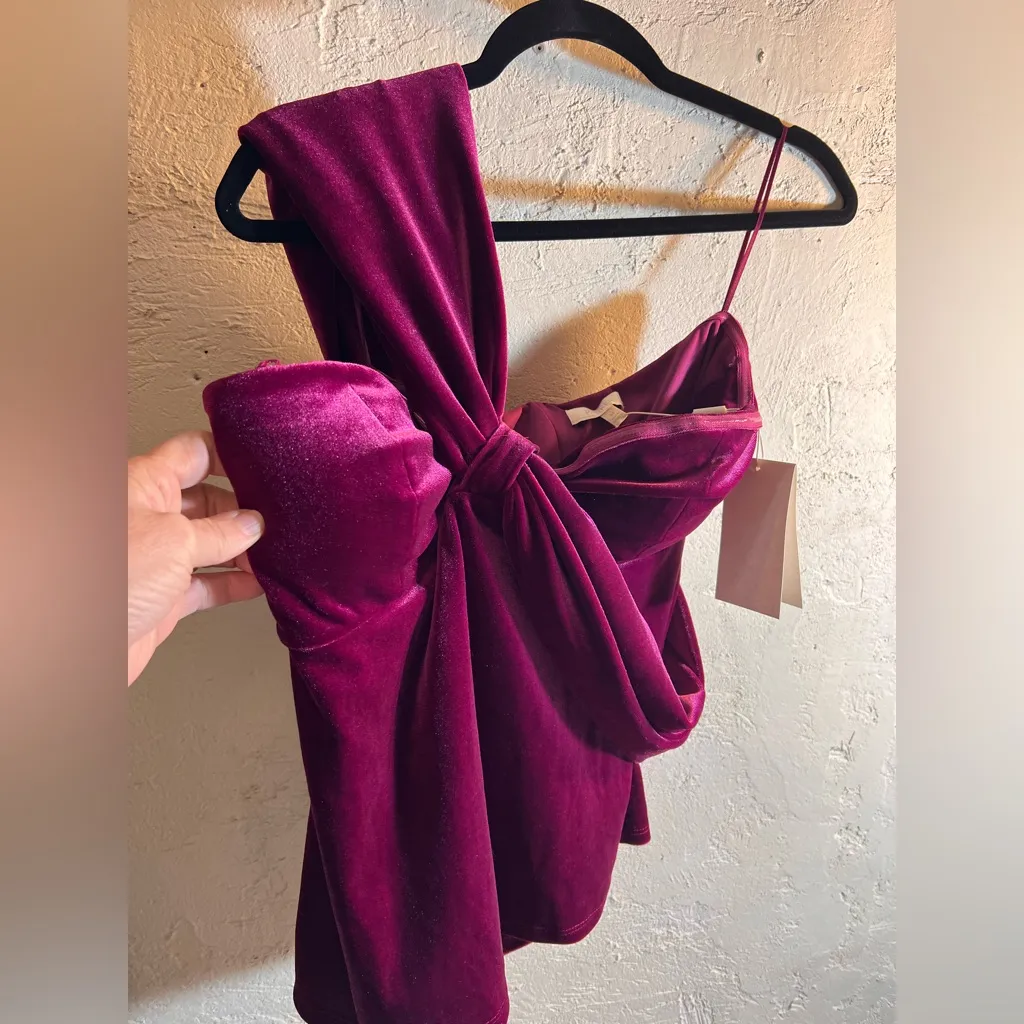 Parker NWT Women's Burgundy Velvet Blouse One Shoulder M - Image 4