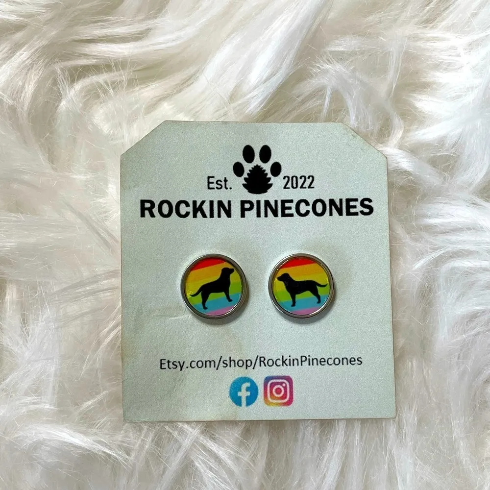 Earrings Dog Rainbow Pride LGBTQ Studs Posts Unisex New - Image 4