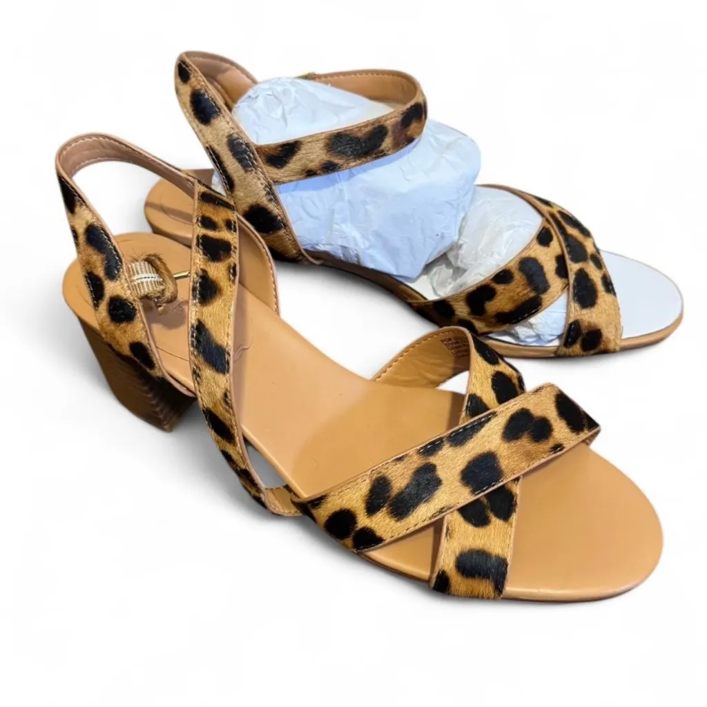 J. Crew Leopard Print Women's Sandals - Image 2