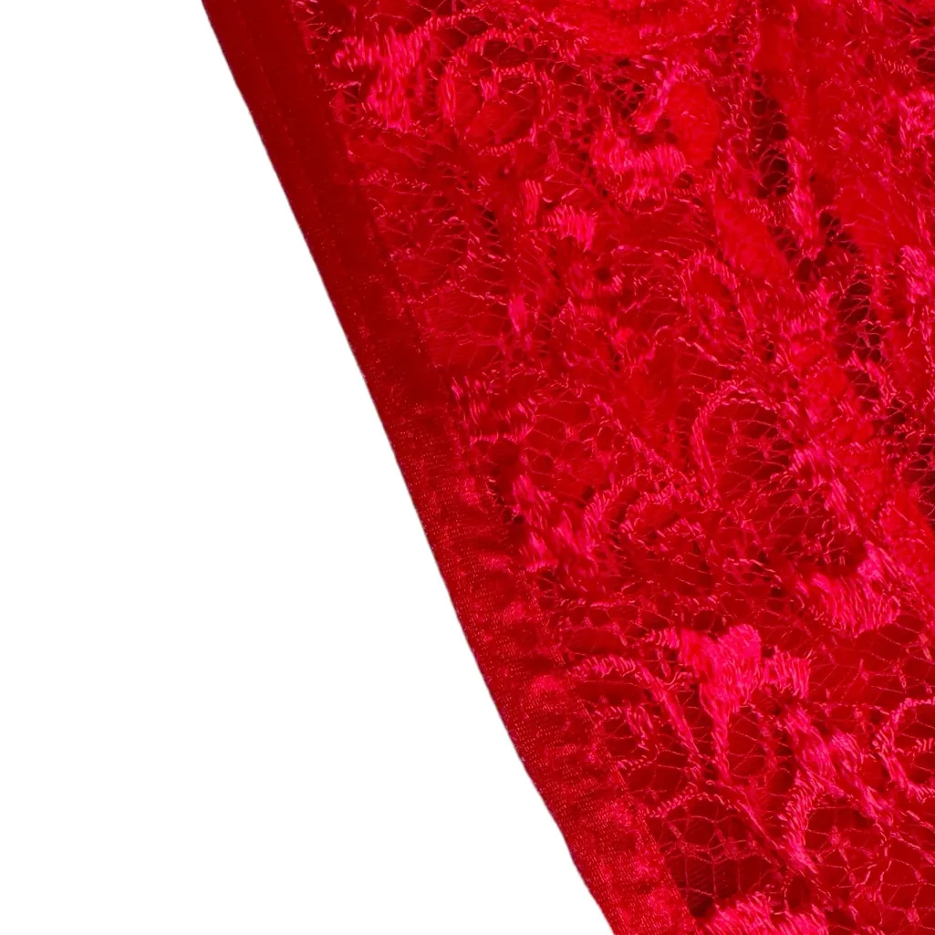 LILY OF FRANCE RED BUSTIER SZ 34B - Image 6